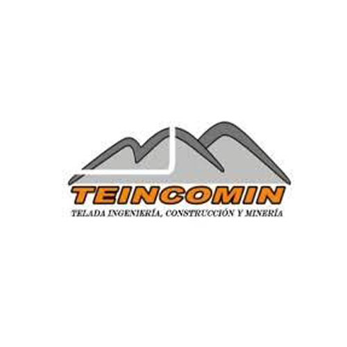 Logo-teincomin